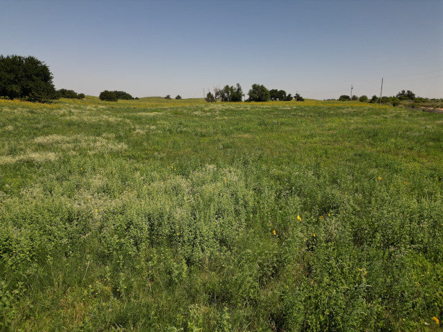 Nice Little Hunting Lease in Woodward County - Sand Hills 40