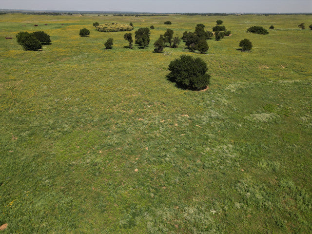 Nice Little Hunting Lease in Woodward County - Sand Hills 40