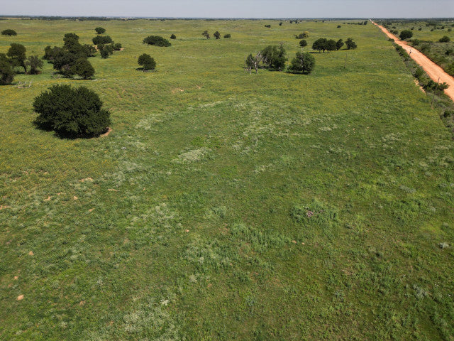 Nice Little Hunting Lease in Woodward County - Sand Hills 40