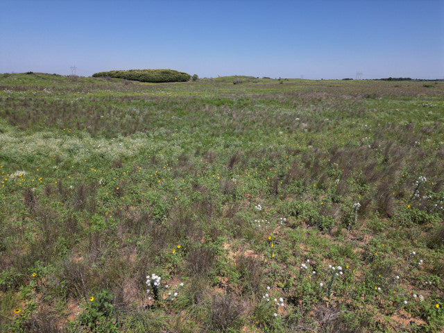 40 Acres of Great Hunting in Woodward County - Sampson 40