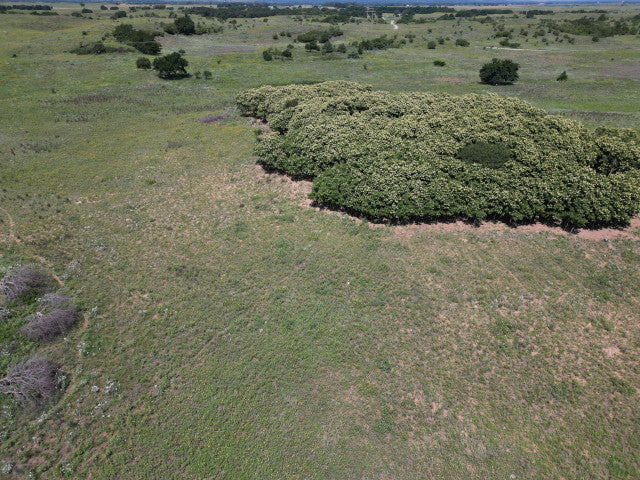 40 Acres of Great Hunting in Woodward County - Sampson 40