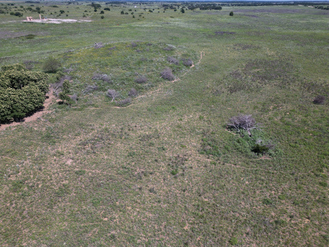 40 Acres of Great Hunting in Woodward County - Sampson 40