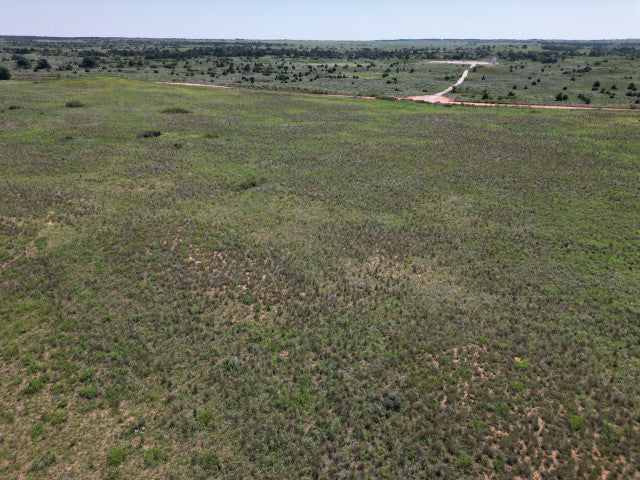 40 Acres of Great Hunting in Woodward County - Sampson 40