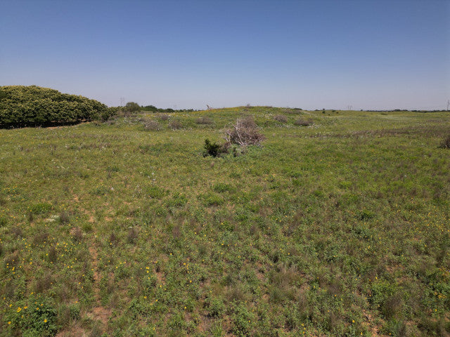 40 Acres of Great Hunting in Woodward County - Sampson 40