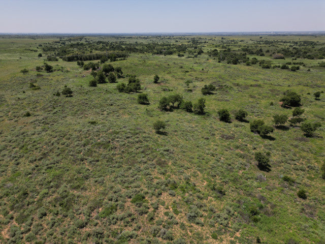 Huge Rolling Hills on 240 acres in Woodward County - S Huffman