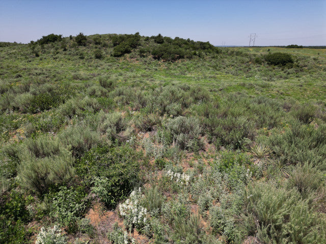 All You Could Want on 320 acres in Woodward County - N Huffman