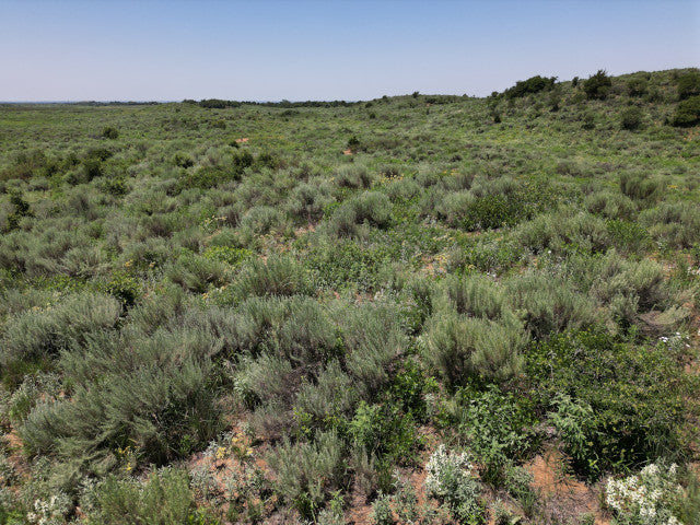 All You Could Want on 320 acres in Woodward County - N Huffman