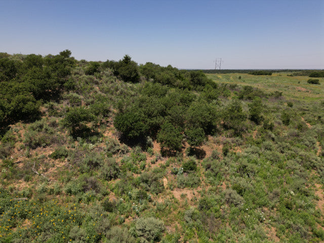 All You Could Want on 320 acres in Woodward County - N Huffman