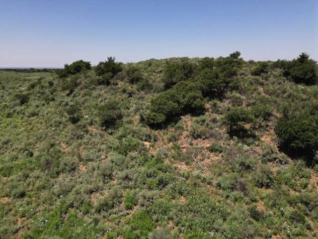 All You Could Want on 320 acres in Woodward County - N Huffman