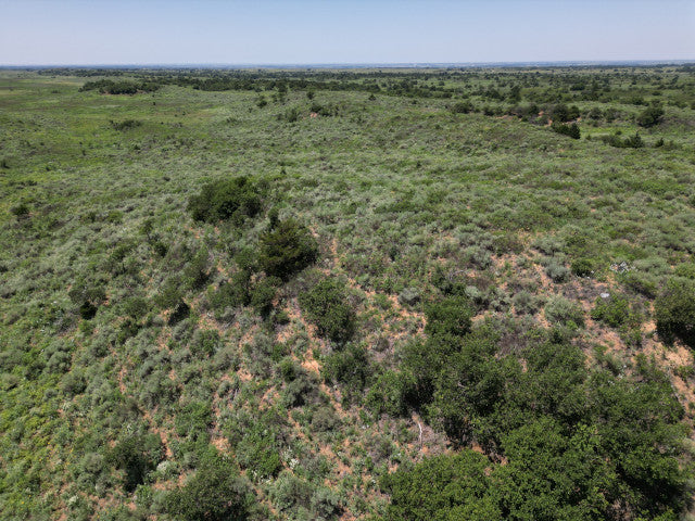 All You Could Want on 320 acres in Woodward County - N Huffman
