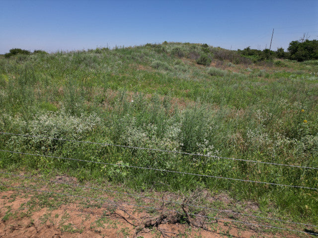 All You Could Want on 320 acres in Woodward County - N Huffman