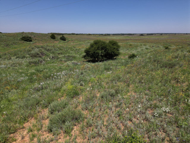 All You Could Want on 320 acres in Woodward County - N Huffman