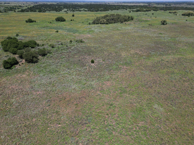 All You Could Want on 320 acres in Woodward County - N Huffman