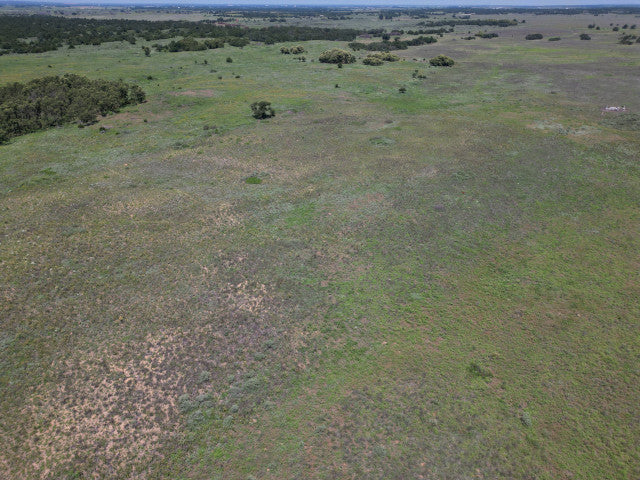 All You Could Want on 320 acres in Woodward County - N Huffman