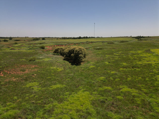 Great 320 acres with Waterfowl Hunting - Ronnies Half Section