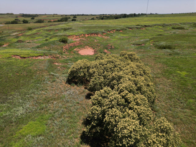 Great 320 acres with Waterfowl Hunting - Ronnies Half Section