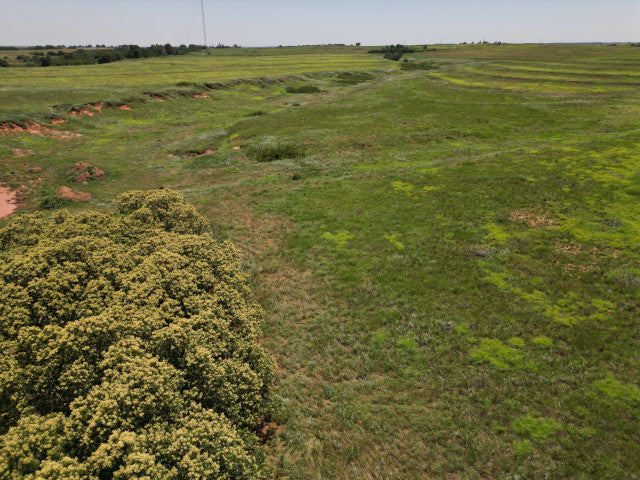 Great 320 acres with Waterfowl Hunting - Ronnies Half Section