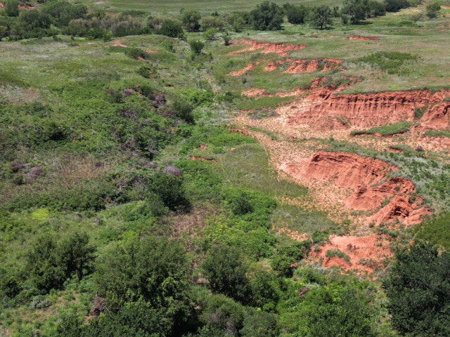Great 320 acres with Waterfowl Hunting - Ronnies Half Section