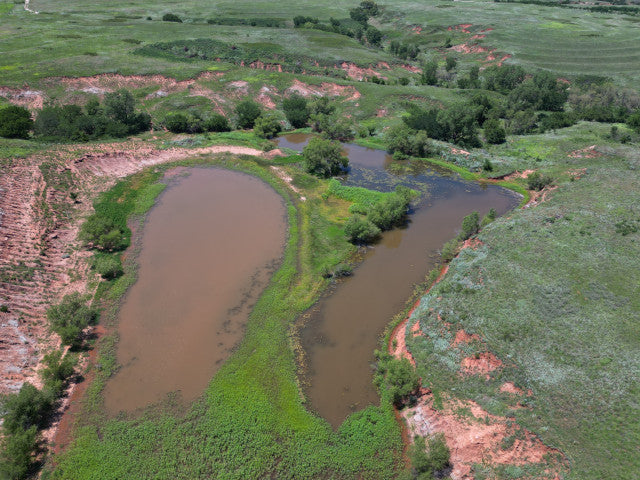 Great 320 acres with Waterfowl Hunting - Ronnies Half Section