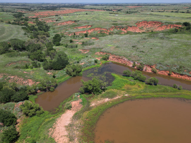 Great 320 acres with Waterfowl Hunting - Ronnies Half Section
