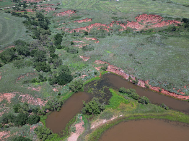 Great 320 acres with Waterfowl Hunting - Ronnies Half Section