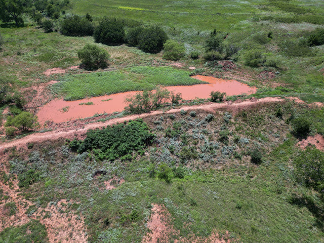 Great 320 acres with Waterfowl Hunting - Ronnies Half Section