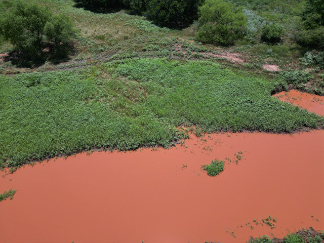 Great 320 acres with Waterfowl Hunting - Ronnies Half Section