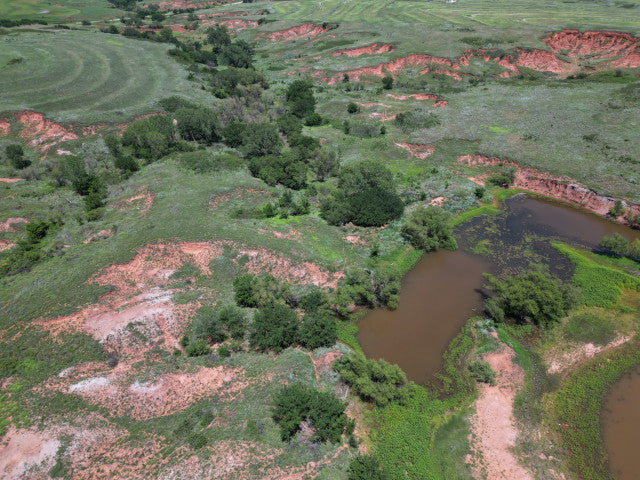 Great 320 acres with Waterfowl Hunting - Ronnies Half Section