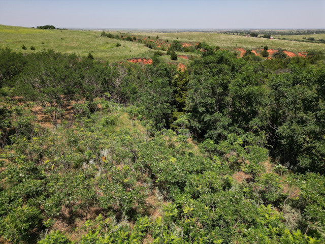 275 acres with Plenty Of Opportunity in Woodward County - Arnies