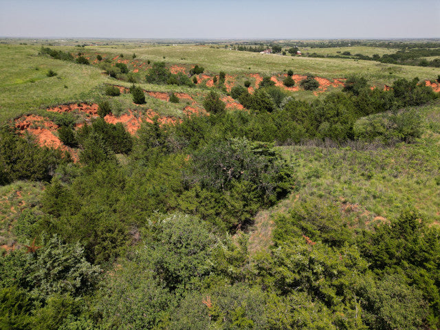 275 acres with Plenty Of Opportunity in Woodward County - Arnies