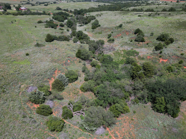 275 acres with Plenty Of Opportunity in Woodward County - Arnies