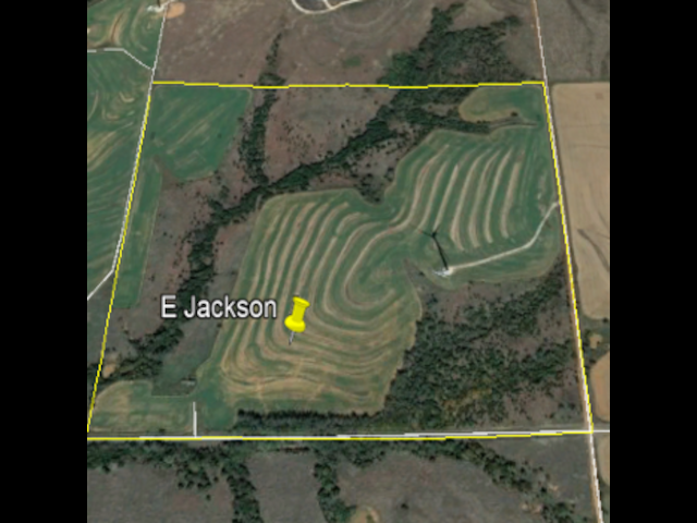 Whitetail Turkey and Hogs on 160 acre Hunting Lease in Dewey County - E Jackson