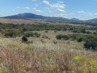 1000 Beautiful Acres in Kiowa County - Haley Ranch