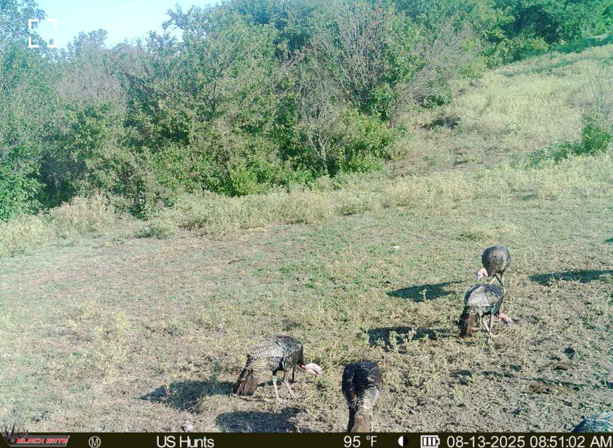 1000 Beautiful Acres in Kiowa County - Haley Ranch