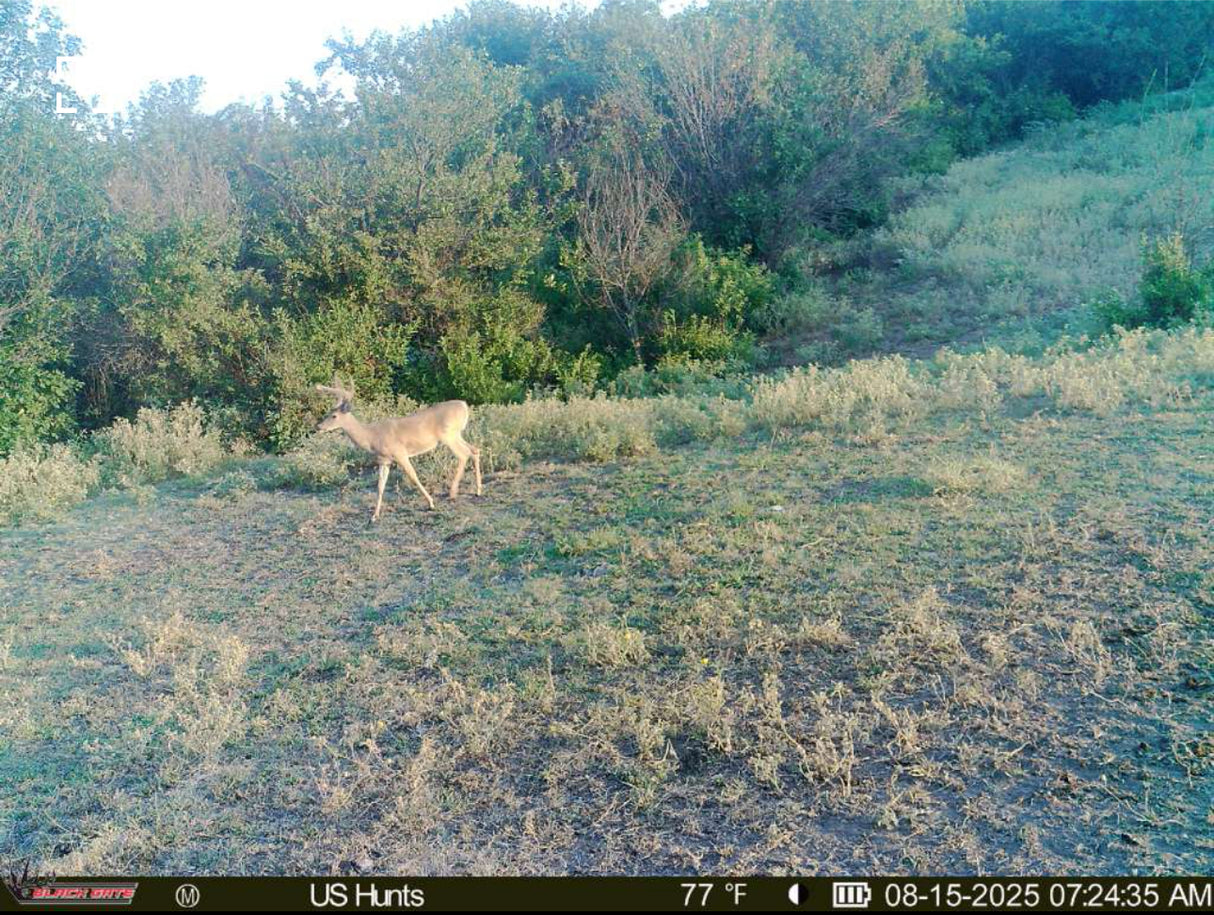 1000 Beautiful Acres in Kiowa County - Haley Ranch
