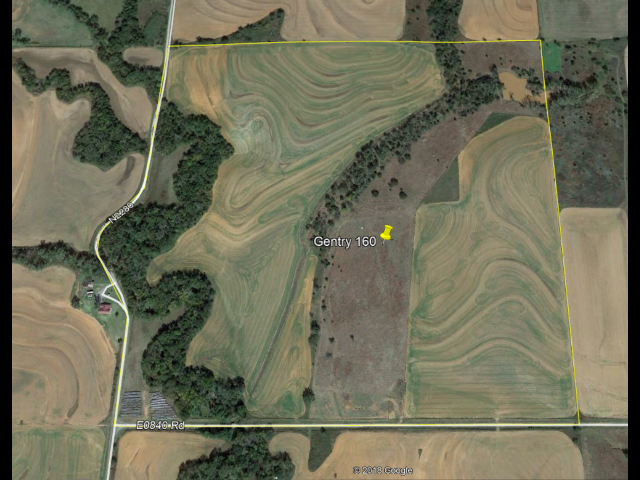 Custer County 160 acre lease - Gentry