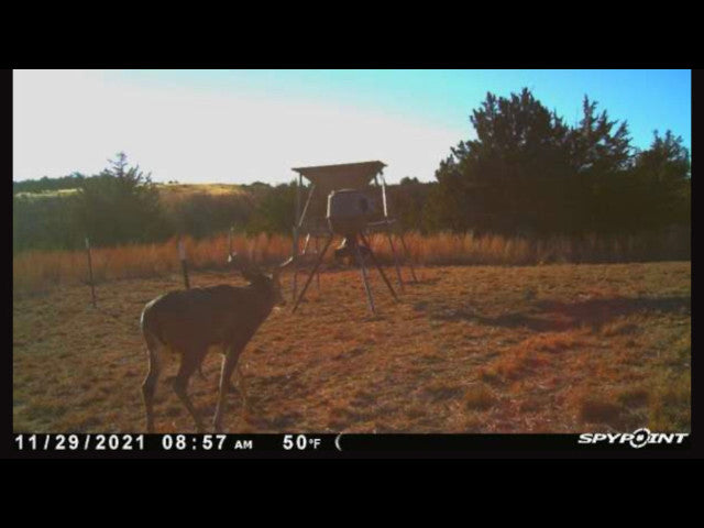 Lots of cover and deep wooly ravines on this 280 acre Hunting Lease in Dewey County - BrunHome