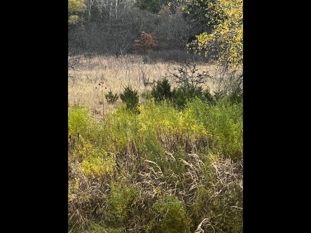 Close to OKC and on the River 190 acres Hunting Lease in Pottawatomie County -River 190