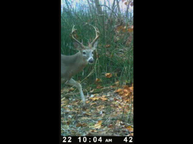 100 acre River Bottom Hunting Lease near Shawnee -Echo River 100