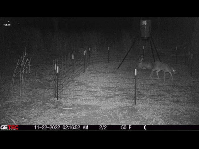 100 acre River Bottom Hunting Lease near Shawnee -Echo River 100