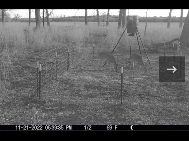 100 acre River Bottom Hunting Lease near Shawnee -Echo River 100