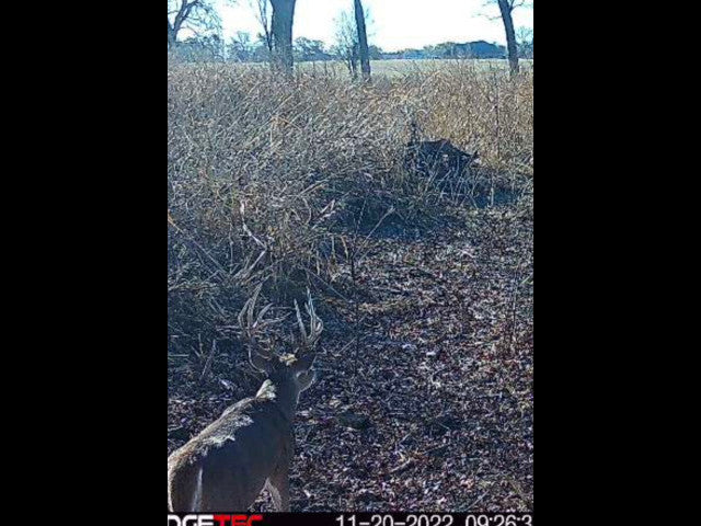 100 acre River Bottom Hunting Lease near Shawnee -Echo River 100