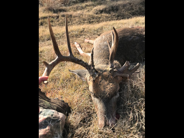 320 acre Hunting Lease Near Putnam - Laverta White