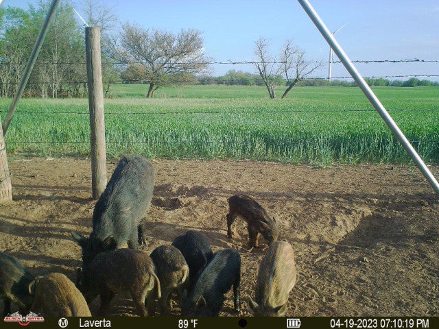 320 acre Hunting Lease Near Putnam - Laverta White