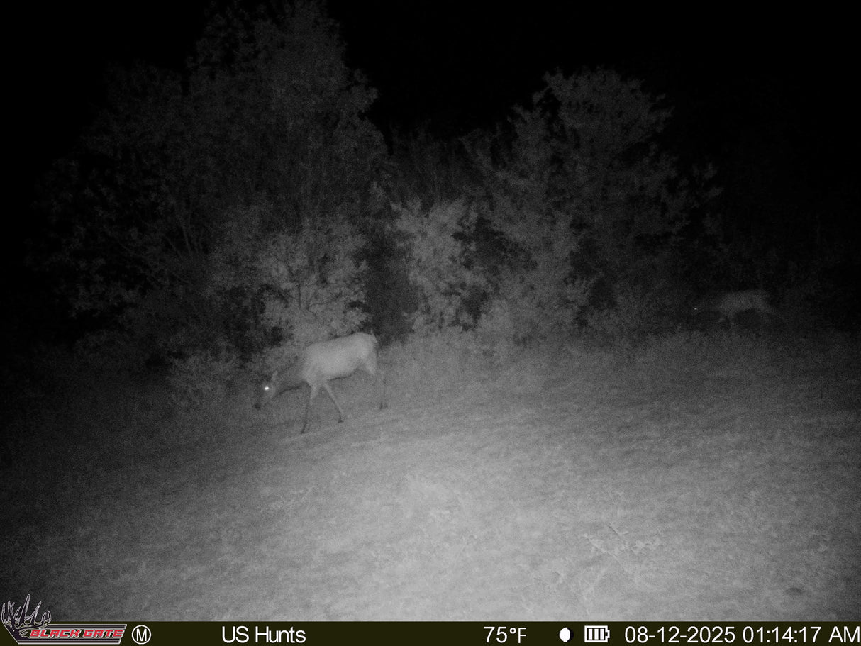 1000 Beautiful Acres in Kiowa County - Haley Ranch