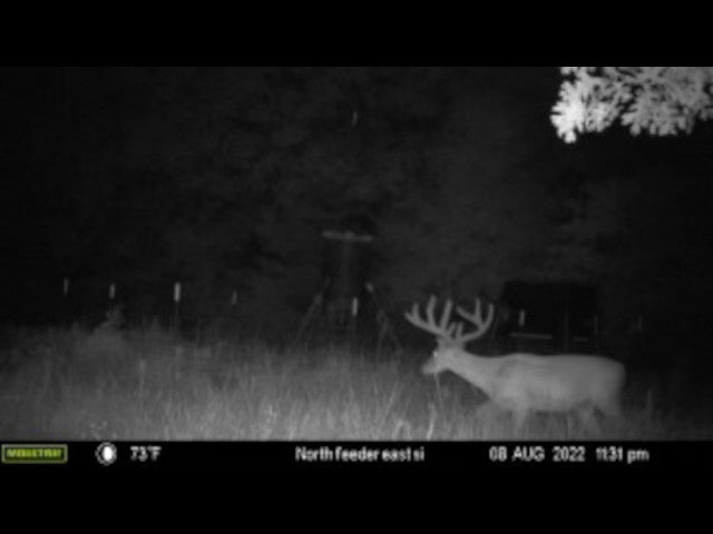 Excellent 200 acre hunting lease near Earlsboro with 3 Ponds - Echo 200