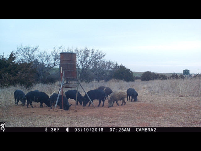 Big Bucks and an Excellent 160 acre lease in the Putnam Area - W Jackson