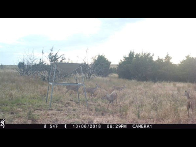 Big Buck Territory on 400 acre Hunting Lease in Dewey County - Deep Ravine