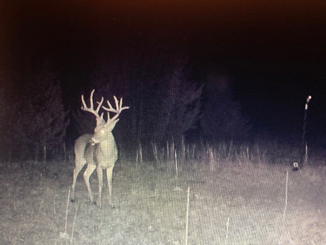 Excellent 200 acre hunting lease near Earlsboro with 3 Ponds - Echo 200