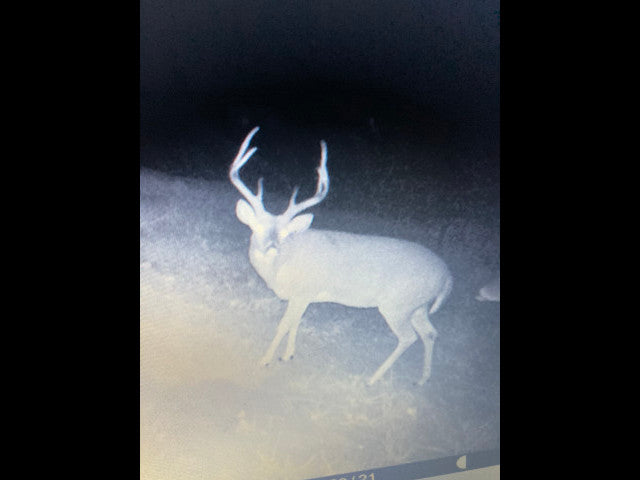 Lots of cover and deep wooly ravines on this 280 acre Hunting Lease in Dewey County - BrunHome